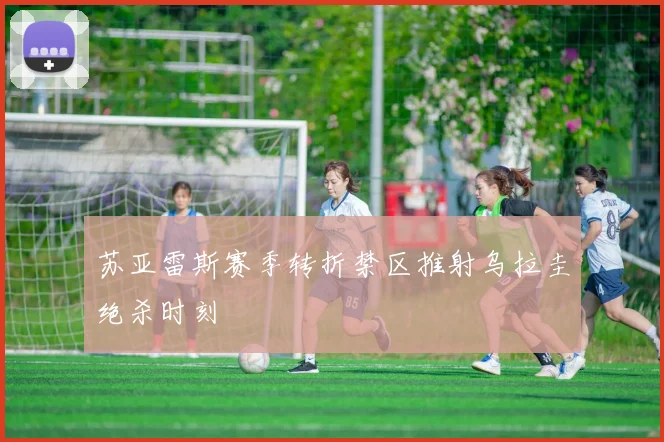 苏亚雷斯赛季转折禁区推射乌拉圭绝杀时刻