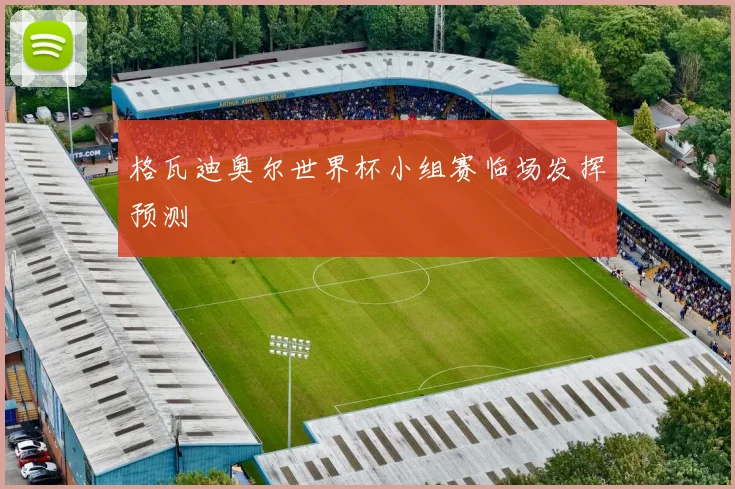 格瓦迪奥尔世界杯小组赛临场发挥预测