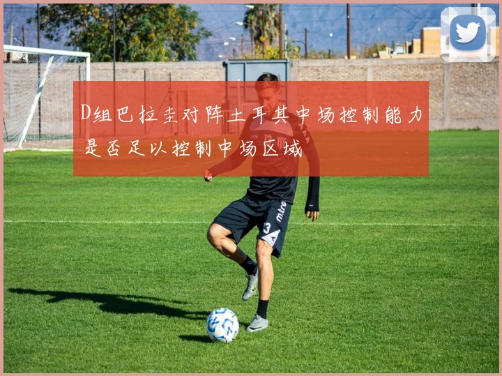 D组巴拉圭对阵土耳其中场控制能力是否足以控制中场区域