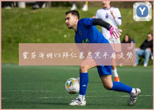 霍芬海姆vs拜仁慕尼黑平局走势